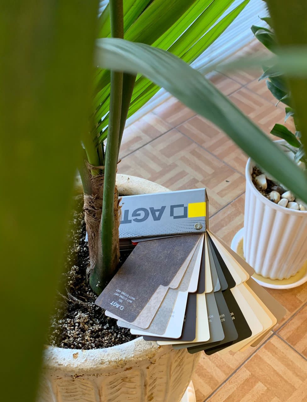 صنایع چوب سیف