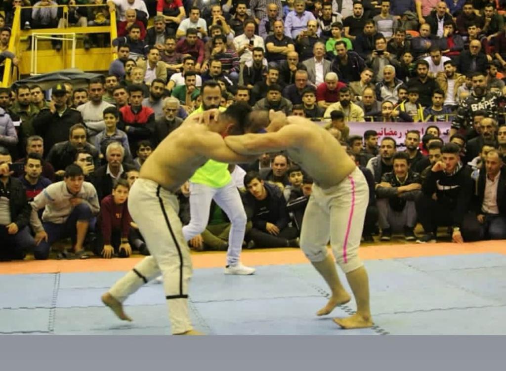 دربهای اتوماتیک گیل نما در رشت