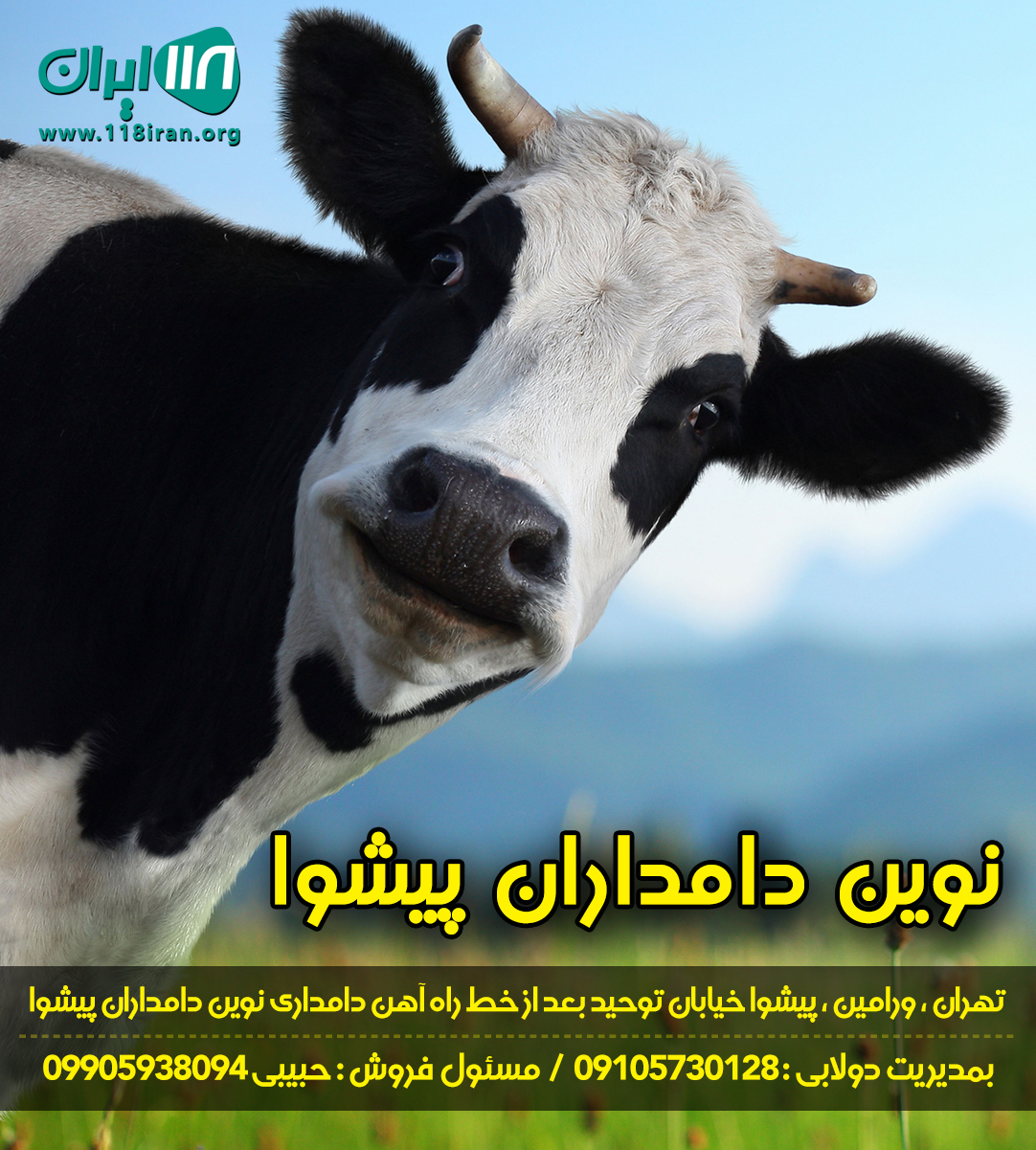 نوین دامداران پیشوا نوین دامداران پیشوا