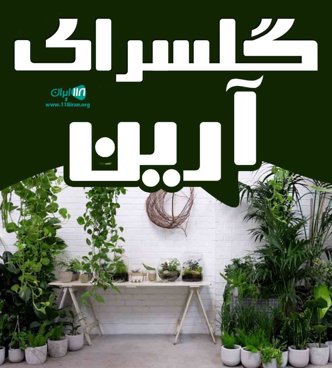 گلسرای آرین در مرکزی گلسرای آرین در مرکزی