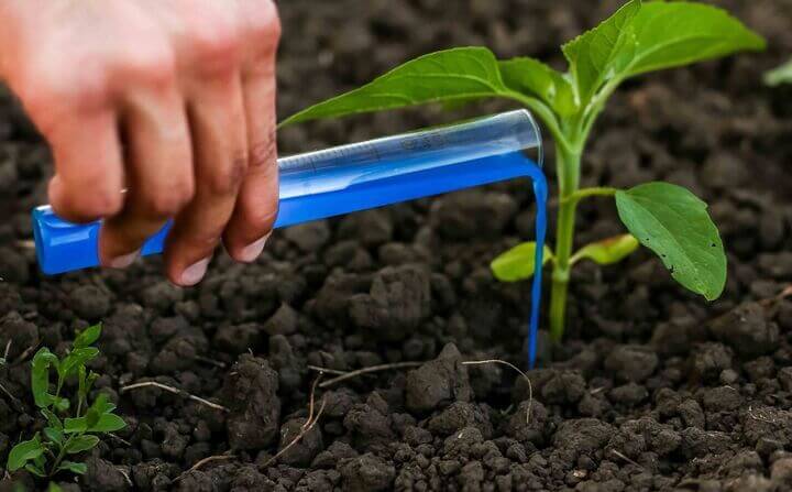 فروشگاه کشاورزی مزرعه سبز