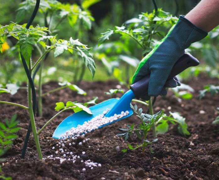 فروشگاه کشاورزی مزرعه سبز