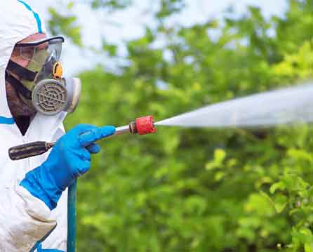 فروشگاه کشاورزی مزرعه سبز