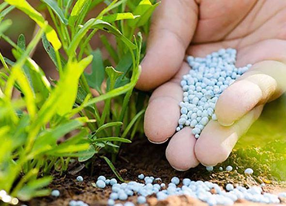 فروشگاه کشاورزی مزرعه سبز