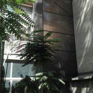 شرکت نوین صنعت