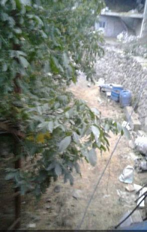 اقامتگاه بوم گردی ناتر در مرزن آباد چالوس اقامتگاه بوم گردی ناتر در مرزن آباد چالوس