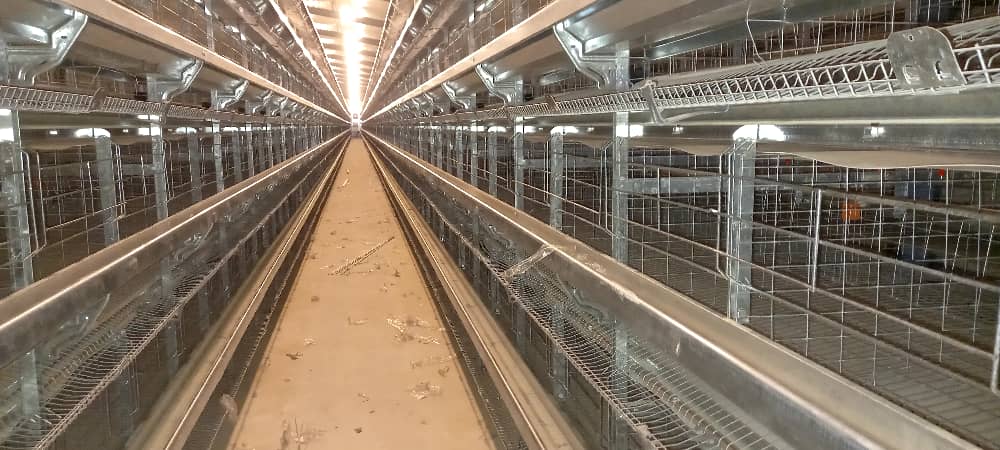 تجهیزات مرغداری روجین صنعت