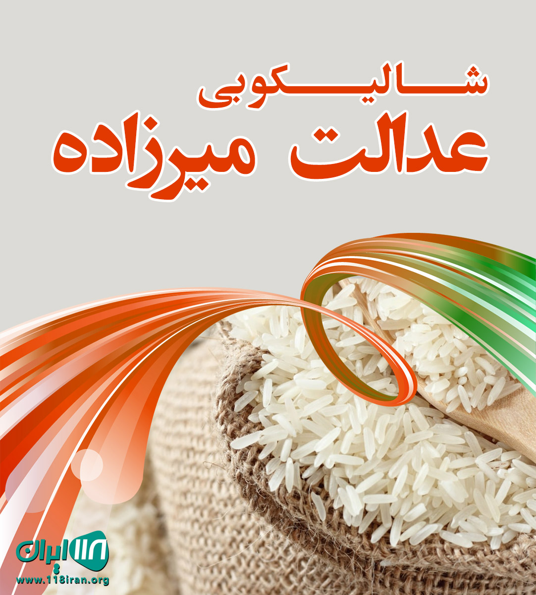 شالیکوبی عدالت میرزاده در لاهیجان