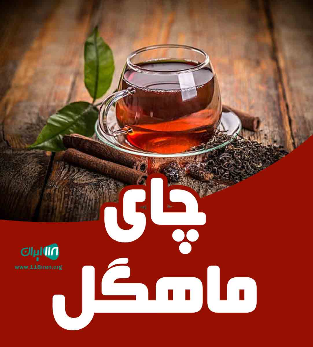 چای ماهگل در لاهیجان چای ماهگل در لاهیجان