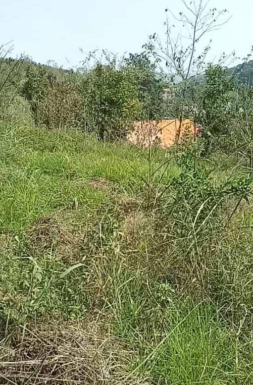 املاک استادکاران در بابل