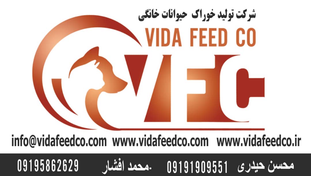 شرکت ویدافید در قزوین