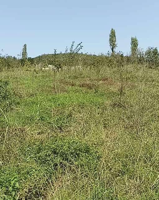 املاک استادکاران در بابل