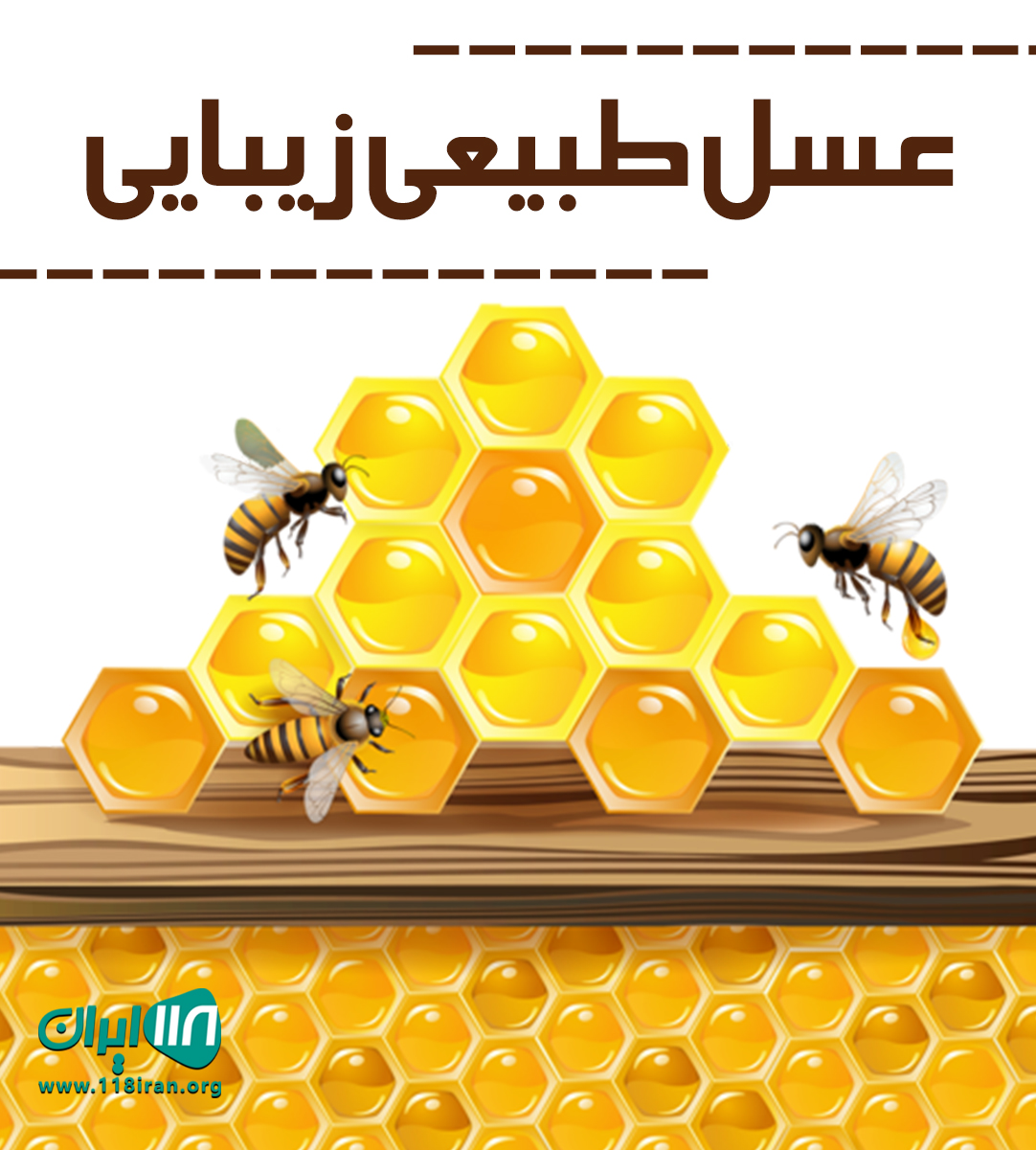 عسل طبیعی زیبایی در گیلان عسل طبیعی زیبایی در گیلان