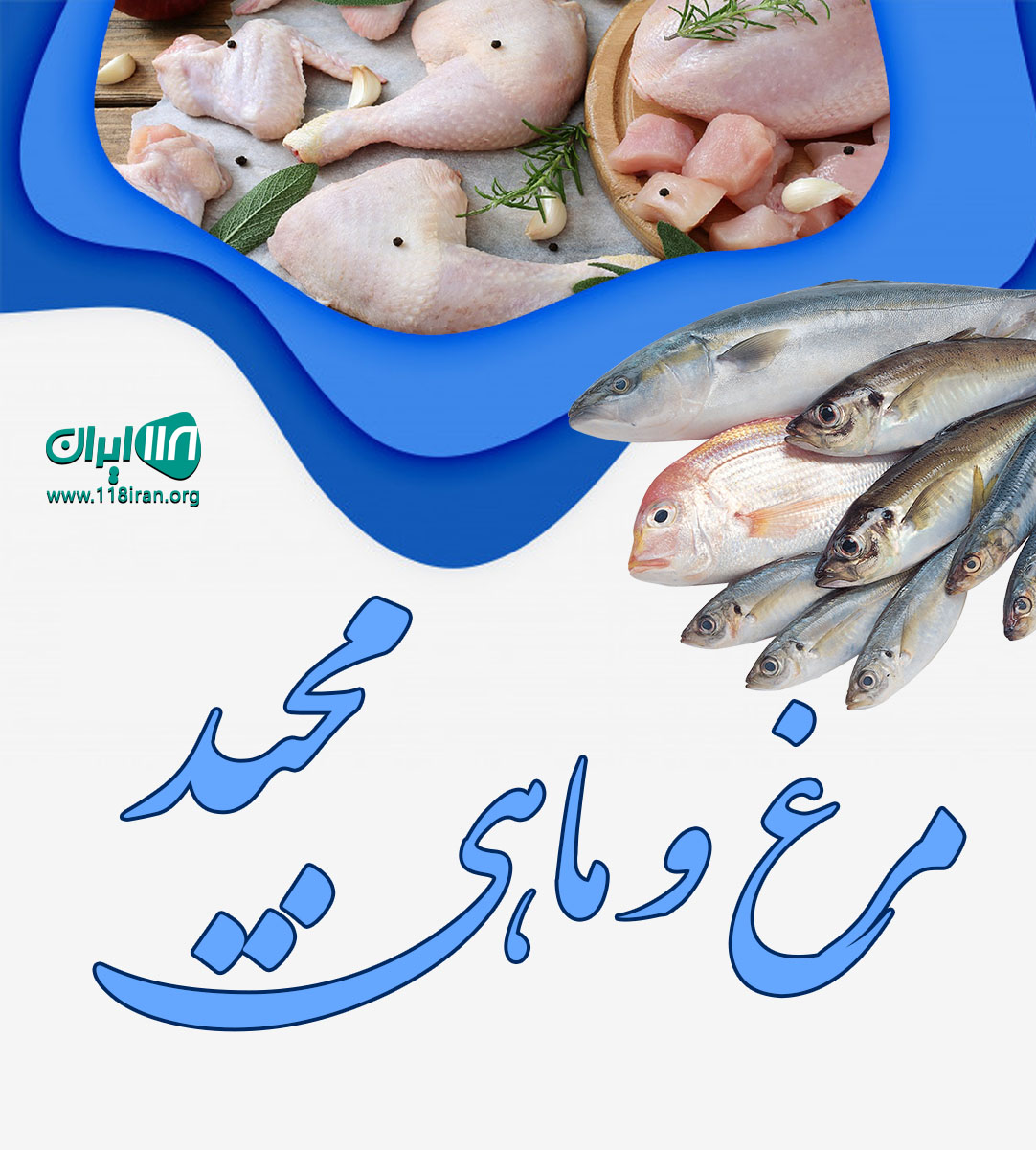 مرغ و ماهی مجید در یزد مرغ و ماهی مجید در یزد