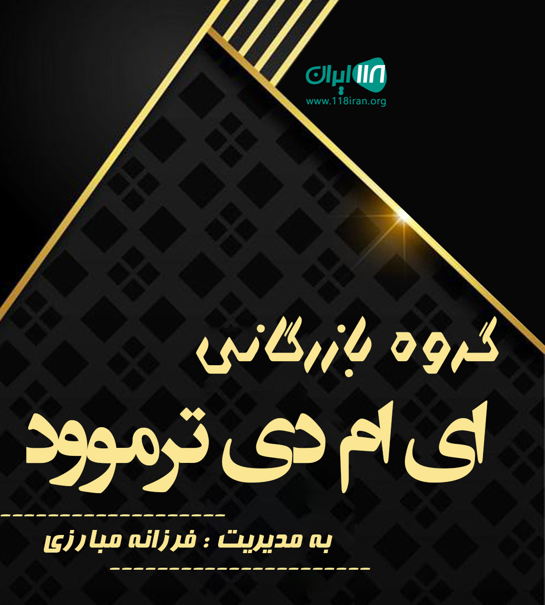 گروه بازرگانی ای ام دی ترموود در تهران