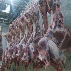 کشتارگاه صنعتی احمدی در مراغه