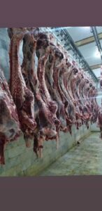 کشتارگاه صنعتی احمدی در مراغه