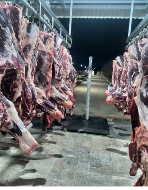 کشتارگاه صنعتی احمدی در مراغه