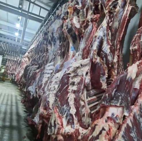 کشتارگاه صنعتی احمدی در مراغه