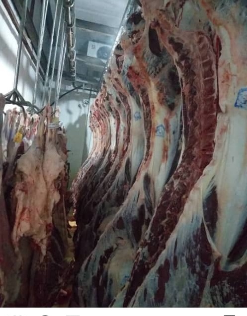 کشتارگاه صنعتی احمدی در مراغه