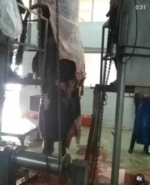 کشتارگاه صنعتی احمدی در مراغه