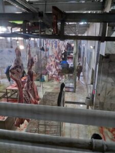 کشتارگاه صنعتی احمدی در مراغه