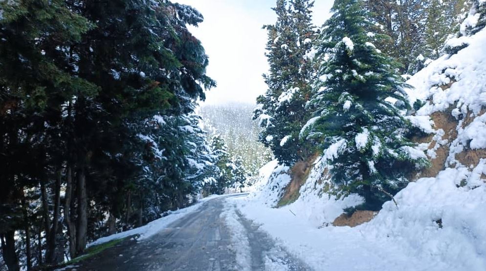 مشاورین املاک کوروش در نوشهر