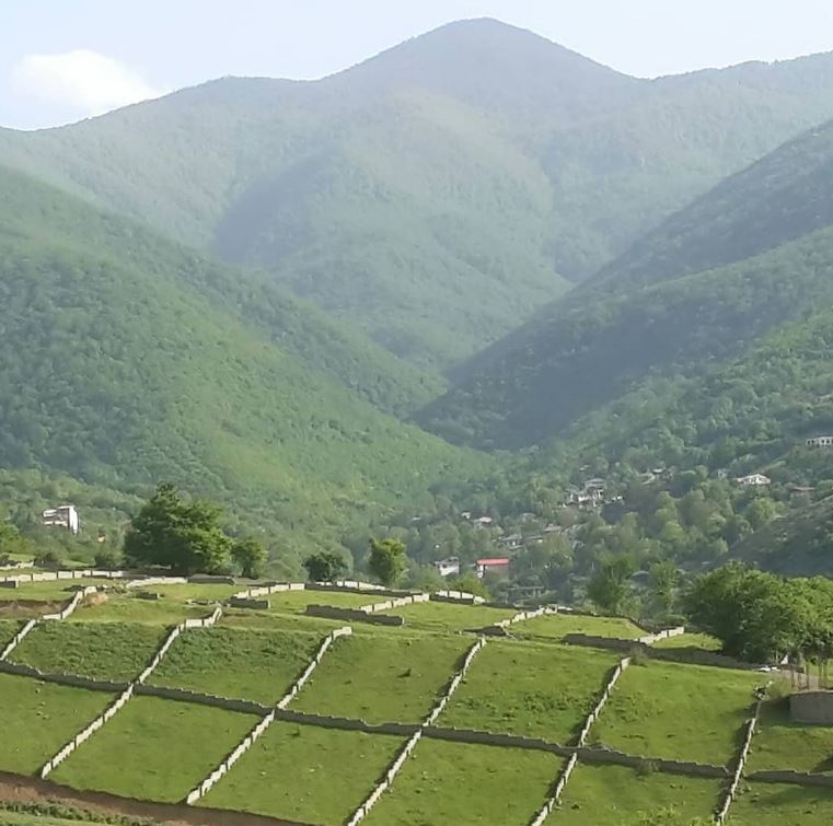 مشاورین املاک کوروش در نوشهر