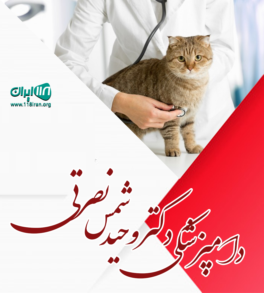 دامپزشکی دکتر وحید شمس نصرتی در آستانه اشرفیه دامپزشکی دکتر وحید شمس نصرتی در آستانه اشرفیه