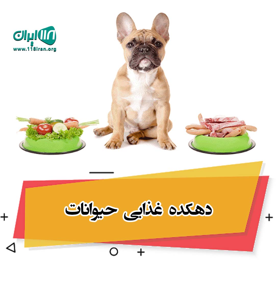 دهکده غذایی حیوانات در قم دهکده غذایی حیوانات در قم