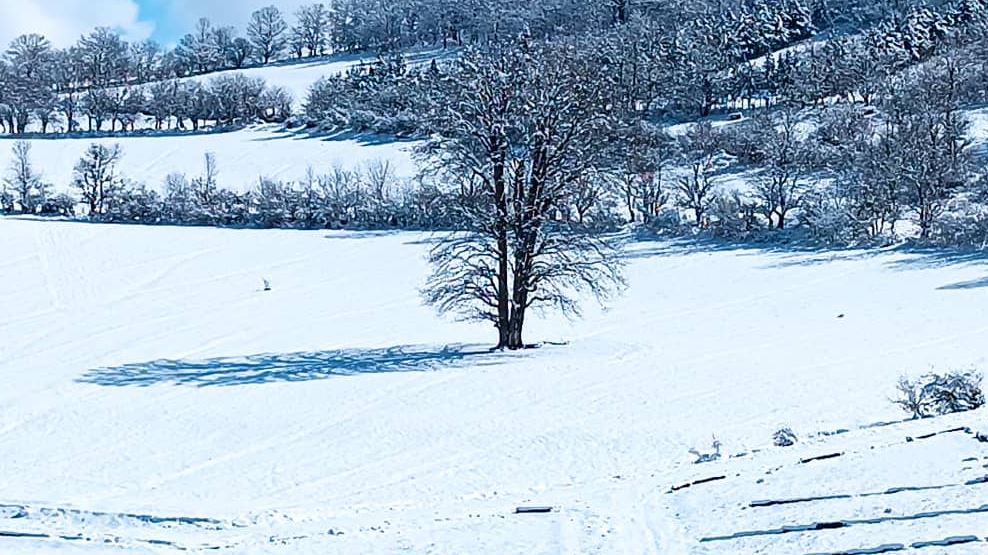 مشاورین املاک کوروش در نوشهر