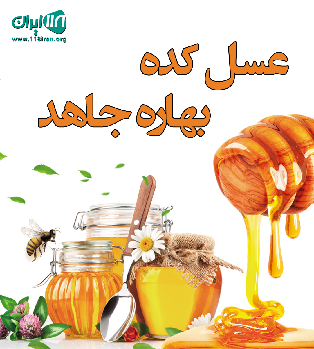 عسل کده بهاره جاهد در اردبیل عسل کده بهاره جاهد در اردبیل