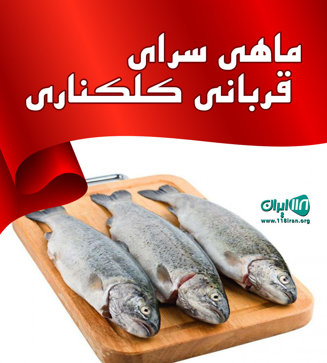 ماهی سرای قربانی کلکناری در ساری