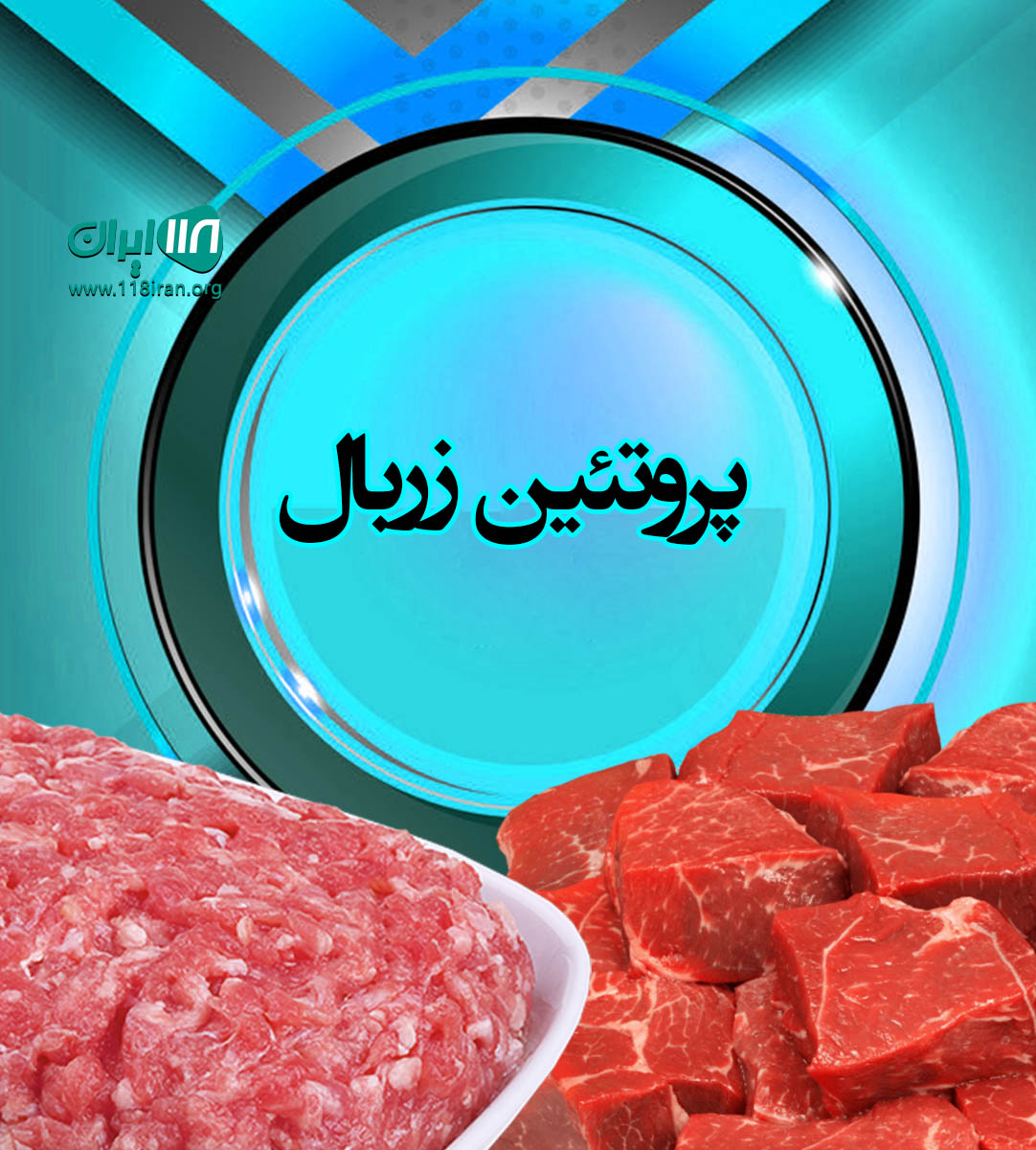 پروتئین زربال در کرمان