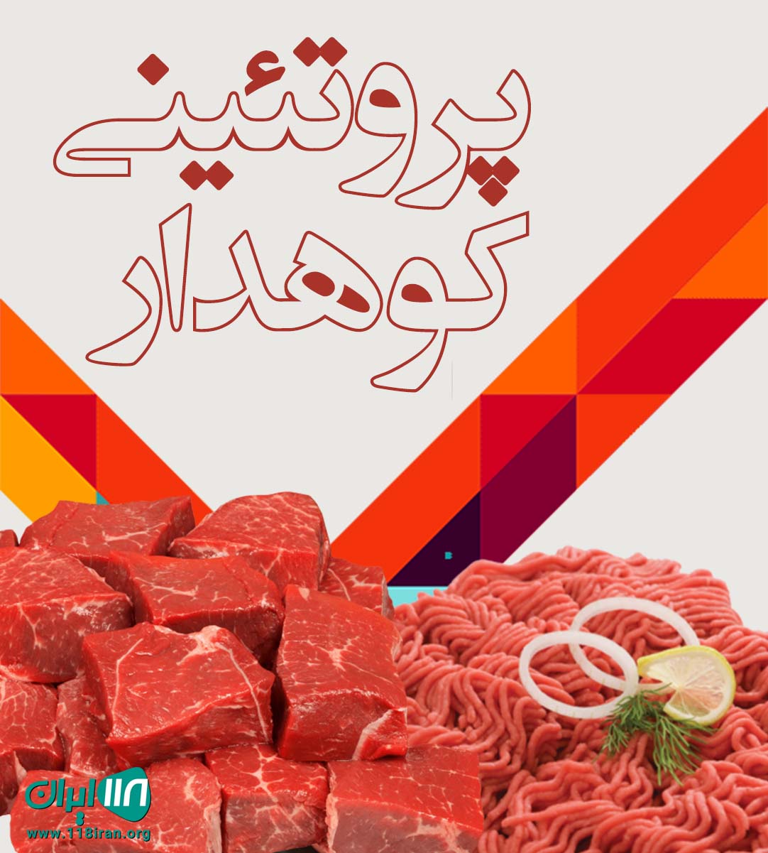 پروتئینی کوهدار در نظرآباد البرز