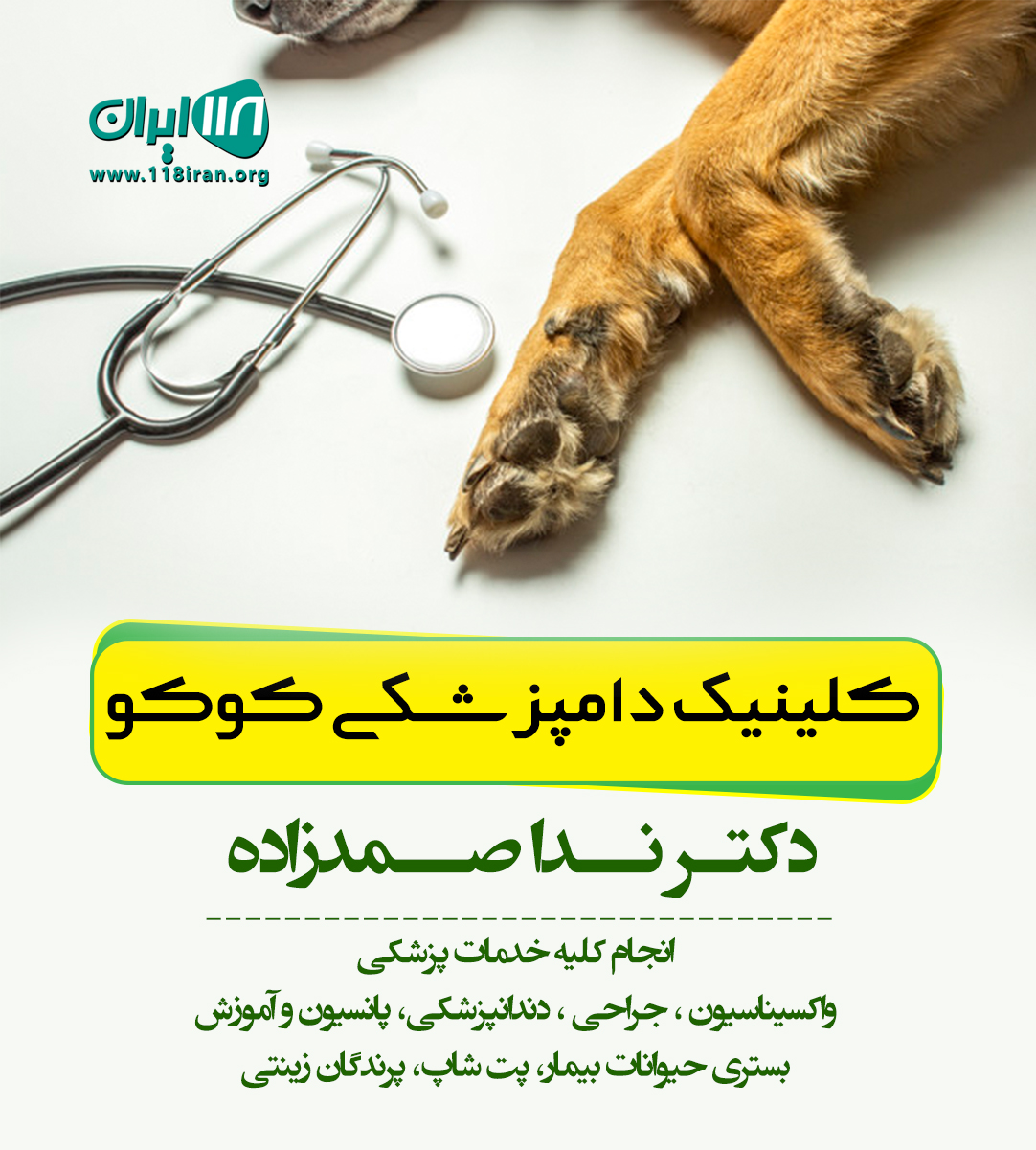 کلینیک دامپزشکی کوکو در بجنورد کلینیک دامپزشکی کوکو در بجنورد