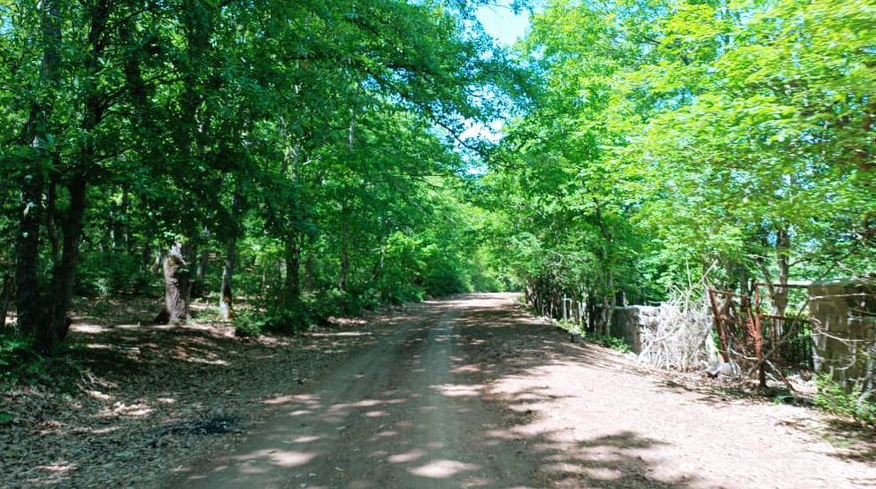 مشاورین املاک کوروش در نوشهر