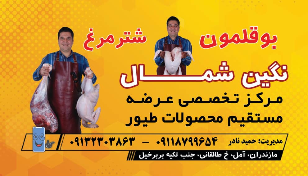فروشگاه گوشت بوقلمون نگین شمال در آمل فروشگاه گوشت بوقلمون نگین شمال در آمل