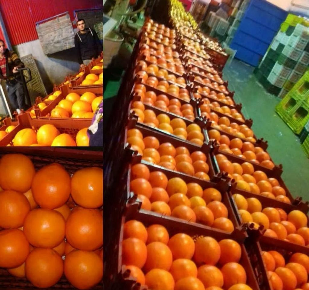 سردخانه تعاونی دشت سبز جرجان در گرگان سردخانه تعاونی دشت سبز جرجان در گرگان