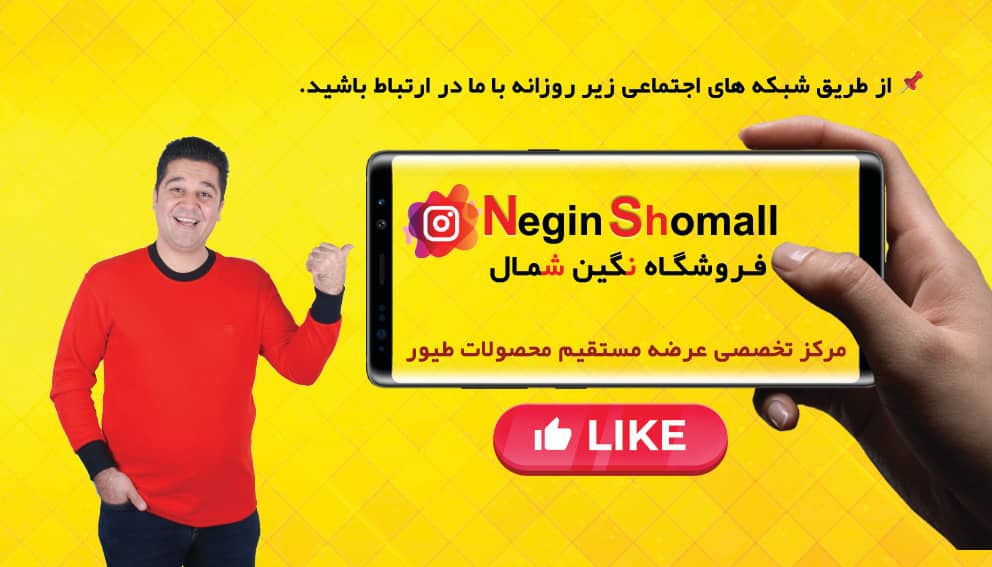 فروشگاه گوشت بوقلمون نگین شمال در آمل فروشگاه گوشت بوقلمون نگین شمال در آمل