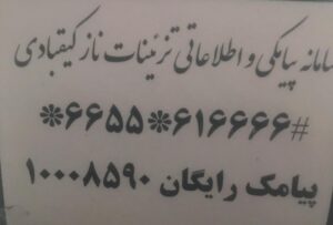 تزئینات ناز امیر کیقبادی در سبزوار