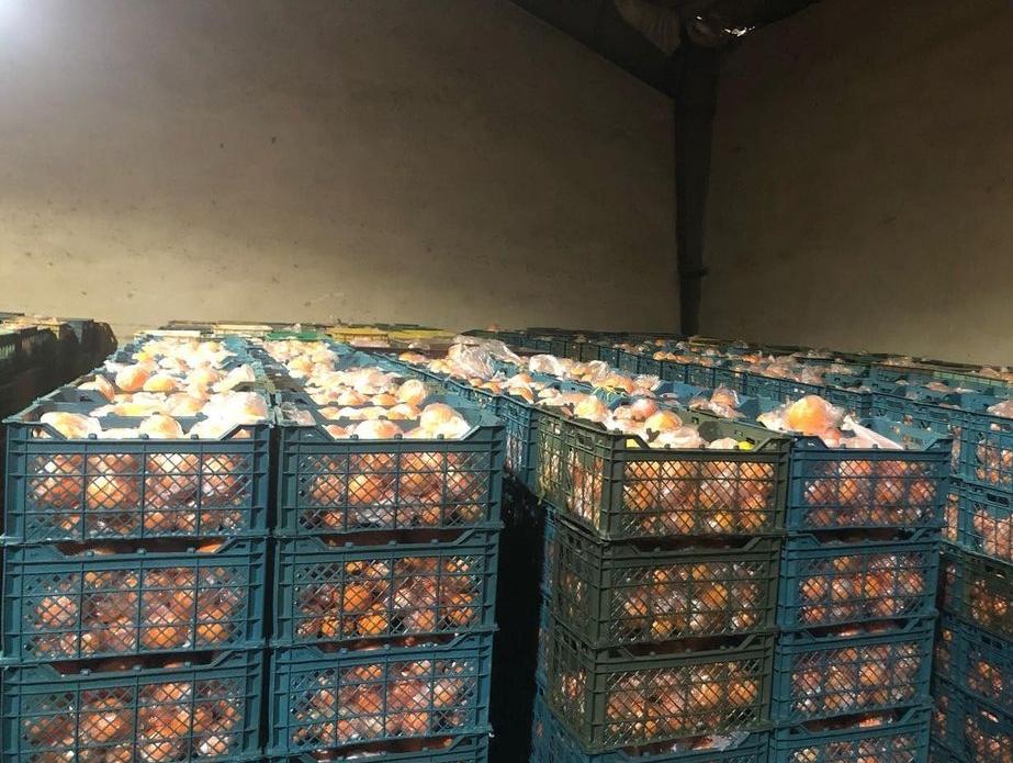 سردخانه تعاونی دشت سبز جرجان در گرگان سردخانه تعاونی دشت سبز جرجان در گرگان