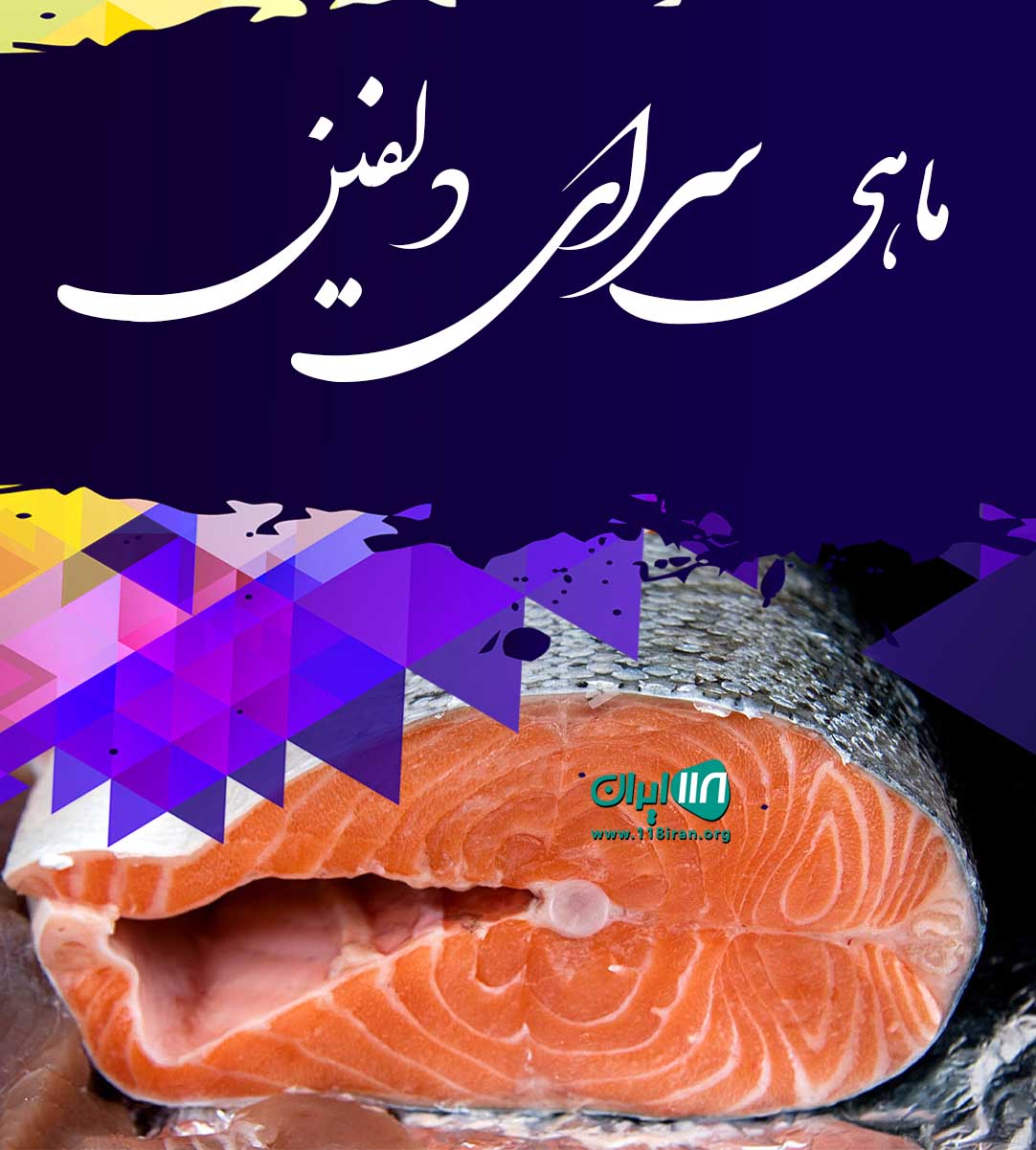 ماهی سرای دلفین در قم ماهی سرای دلفین در قم