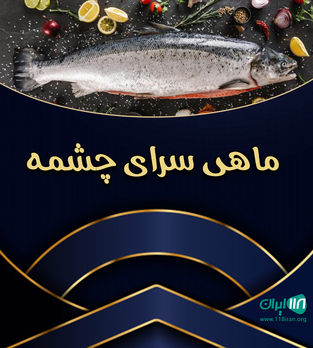 ماهی سرای چشمه در میاندج محله شیرود تنکابن