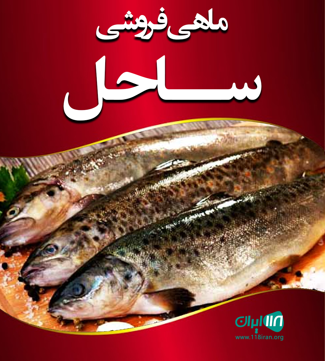 ماهی فروشی ساحل در لاهیجان ماهی فروشی ساحل در لاهیجان