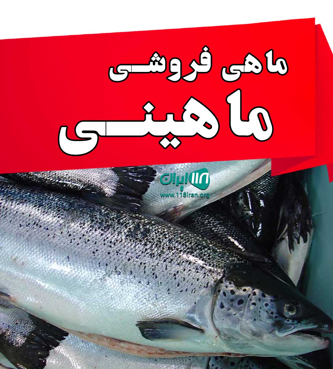 ماهی فروشی ماهینی در بوشهر