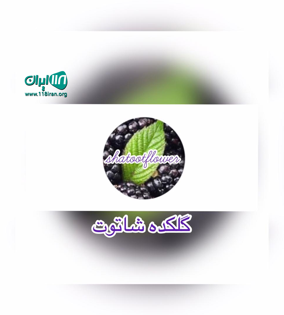 گلکده شاتوت در شهسوار گلکده شاتوت در شهسوار