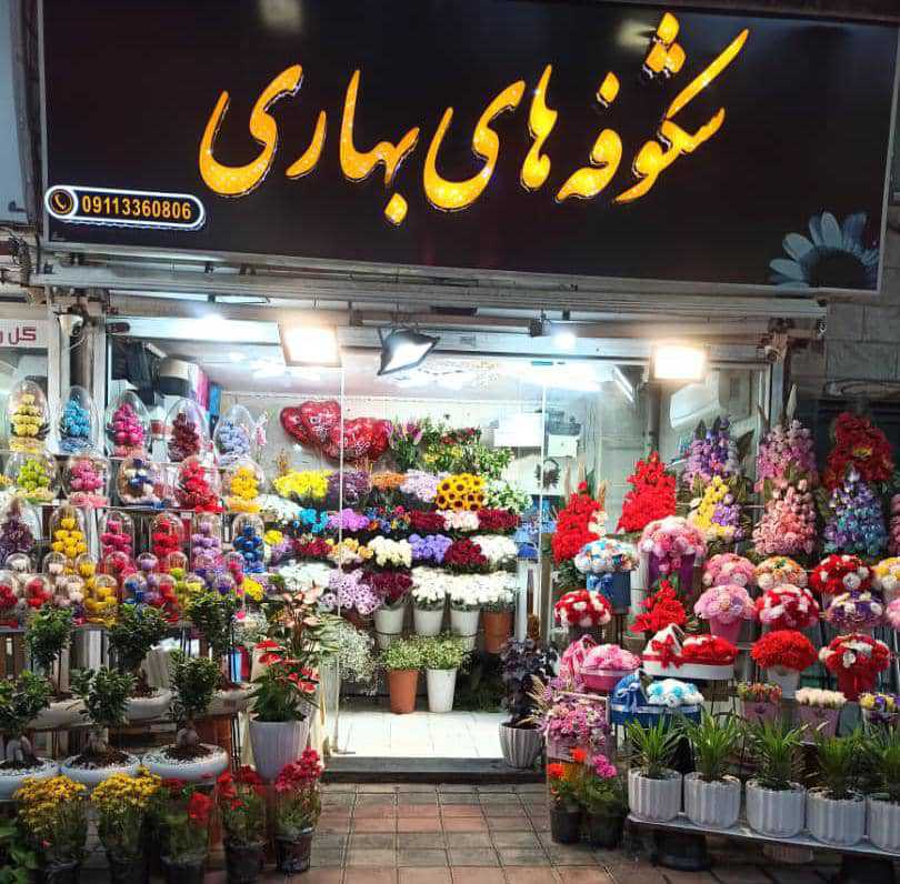 گلسرای شکوفه های بهاری در رشت گلسرای شکوفه های بهاری در رشت