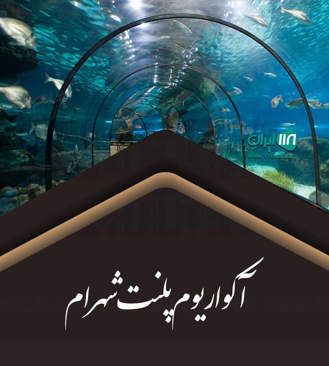 آکواریوم پلنت شهرام در کیش