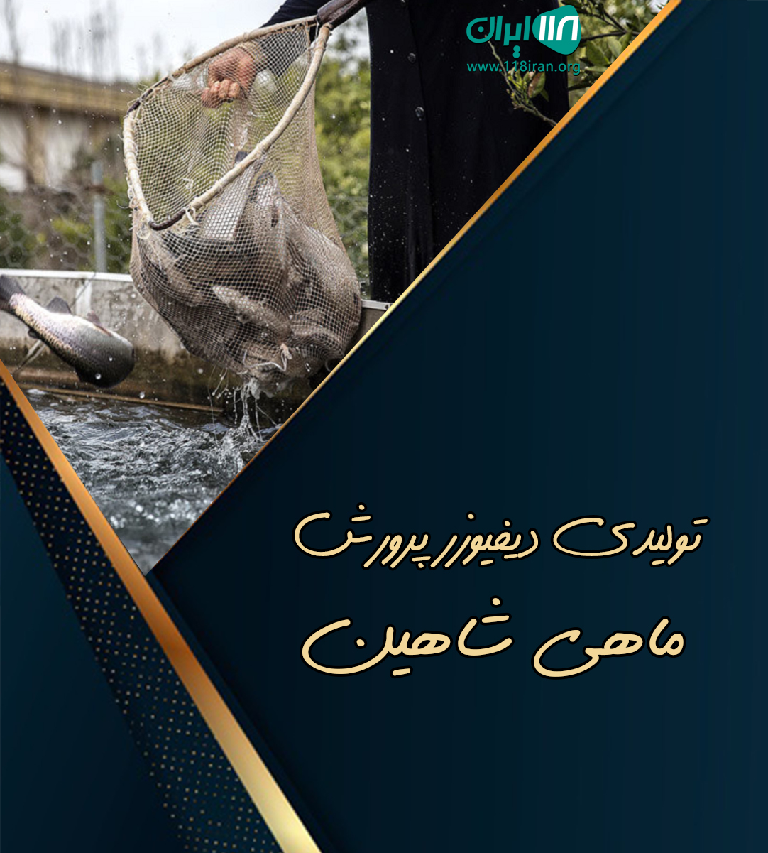 تولیدی دیفیوزر پرورش ماهی شاهین در پارس آباد اردبیل تولیدی دیفیوزر پرورش ماهی شاهین در پارس آباد اردبیل